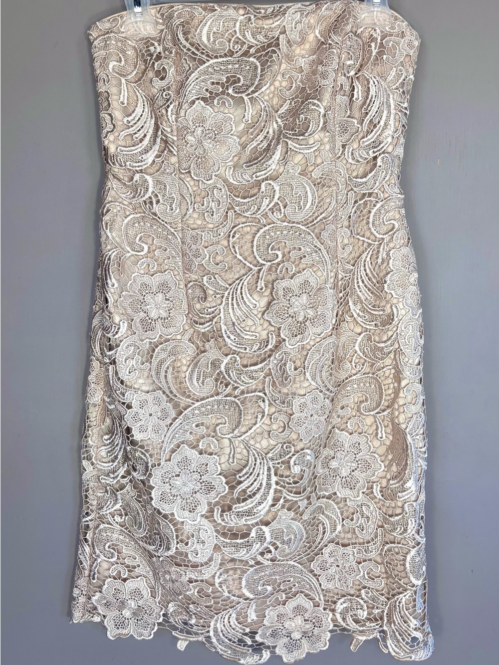 ADRIANNA PAPELL Strapless Lace Overlay Cocktail Dress